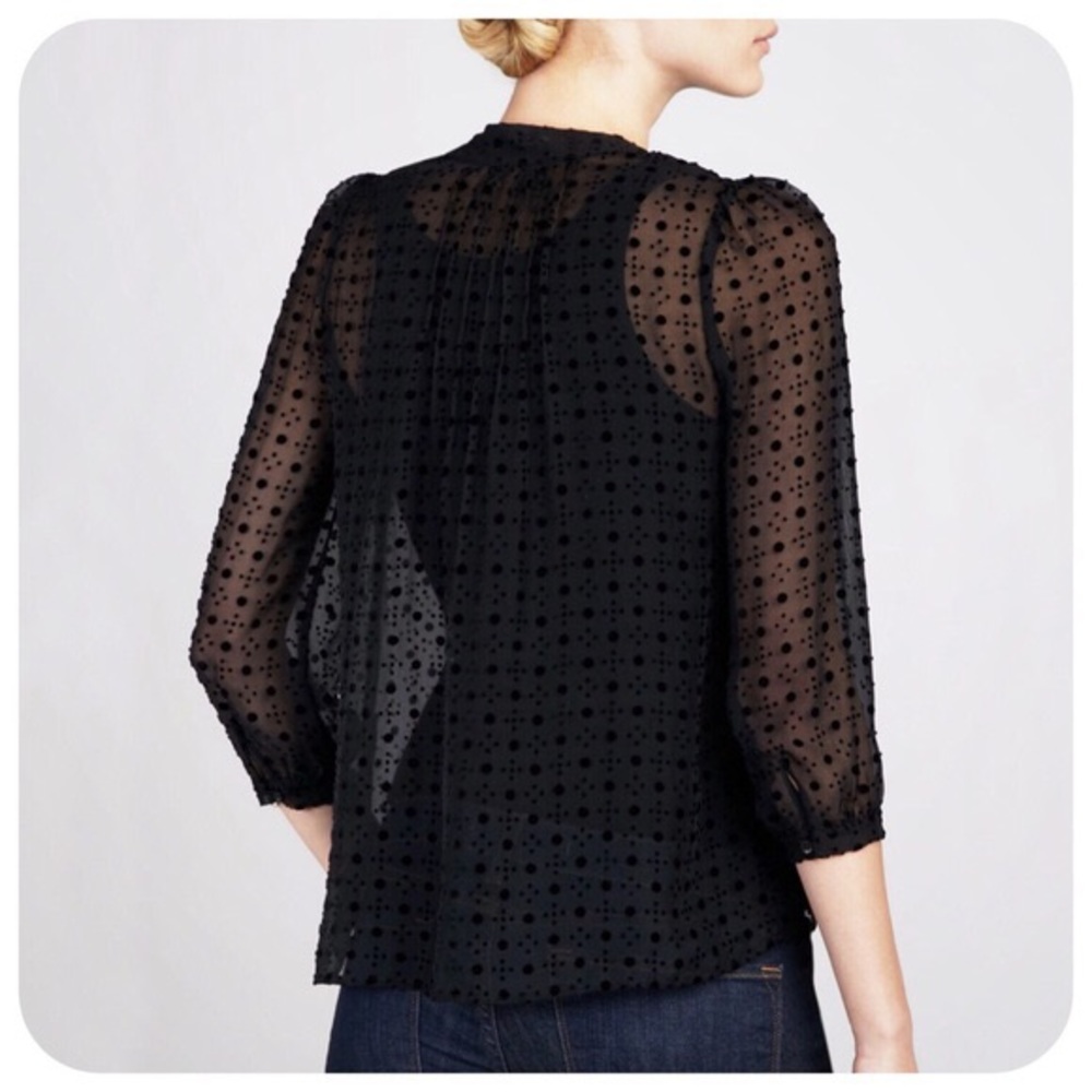 Amour Vert Silk Sheer Velvet Dot Top